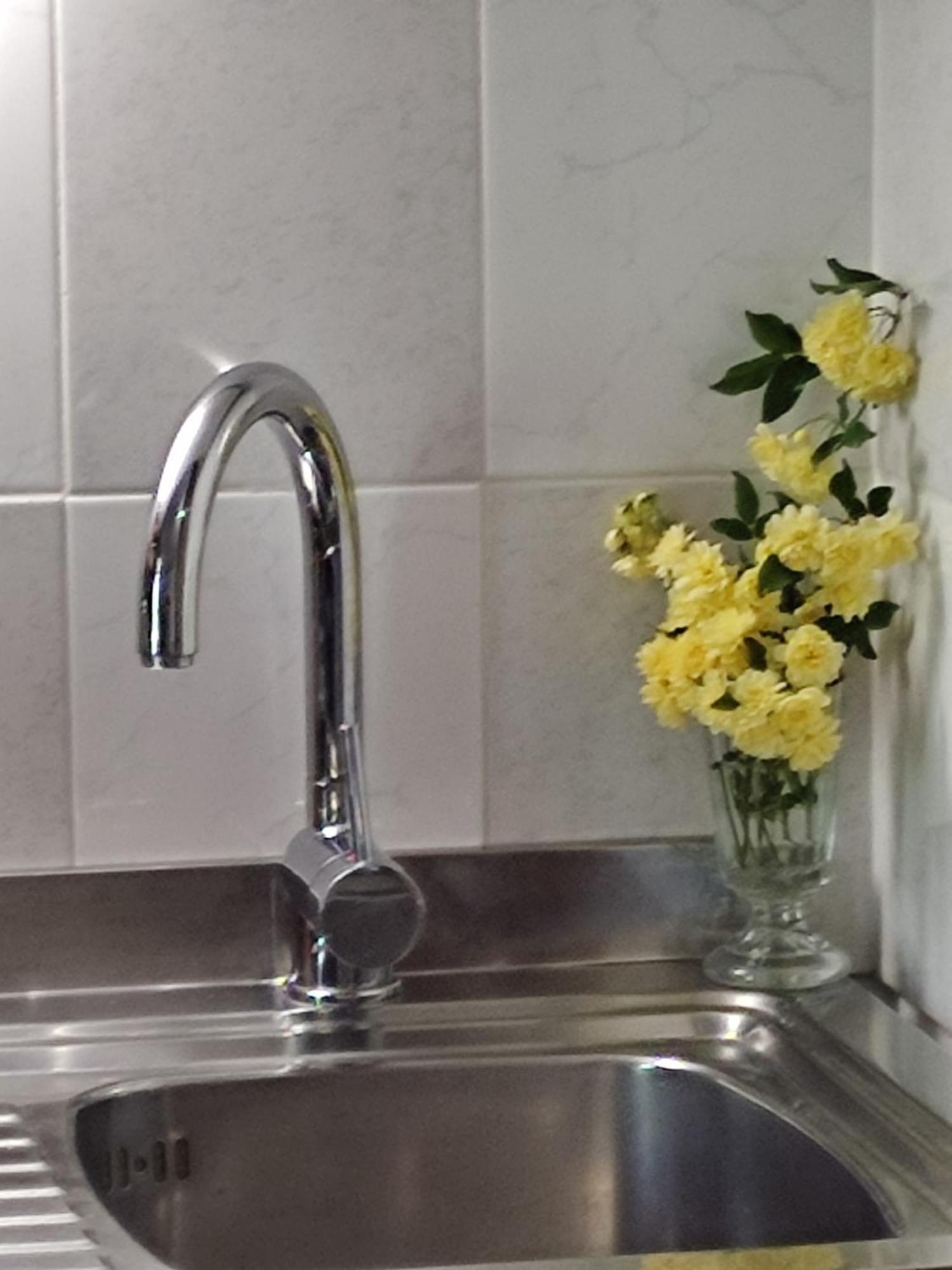 Studio Apartman Bari Buzet Room photo